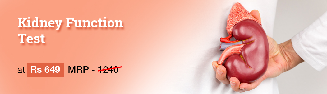 Kidney Function Test ( KFT) at Rs 649 ( Original Price -